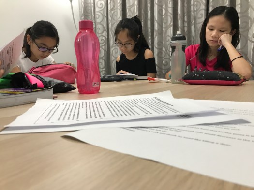 Tampines punggol sengkang tutor english maths science secondary primary tuition centre edukate small group add maths e maths gee o level tuition sec1 sec2 sec3 sec4 express Maths tutorial classes enrichment